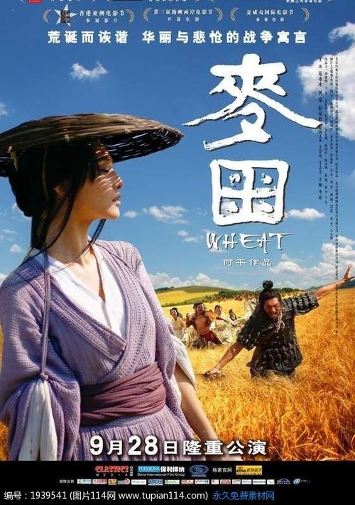 仿制西弗吉尼亚州出生证明